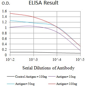 Mouse Monoclonal Antibody to CD370