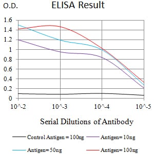 Mouse Monoclonal Antibody to CD158D