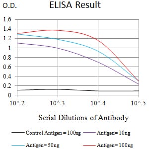 Mouse Monoclonal Antibody to CD143