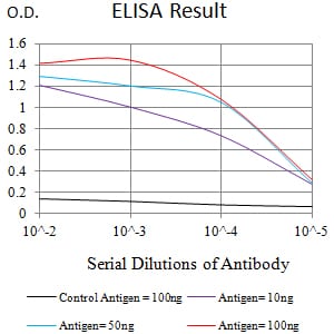 Mouse Monoclonal Antibody to LRP1B