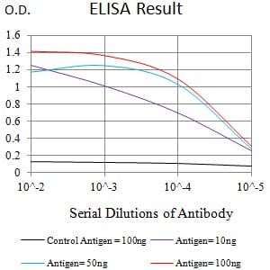 Mouse Monoclonal Antibody to CD307B