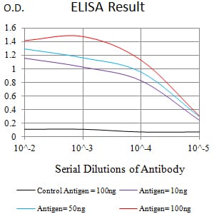 Mouse Monoclonal Antibody to LRP12