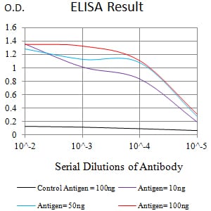 Mouse Monoclonal Antibody to CD192