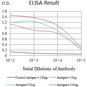 Mouse Monoclonal Antibody to CD307C