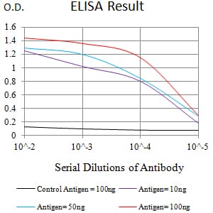 Mouse Monoclonal Antibody to CD369