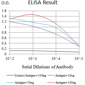 Mouse Monoclonal Antibody to CD239