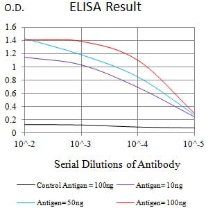 Mouse Monoclonal Antibody to EHMT2