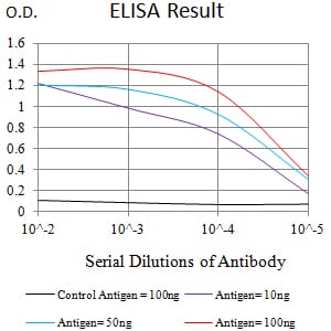 Mouse Monoclonal Antibody to EHMT2
