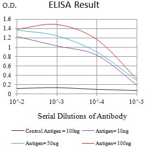 Mouse Monoclonal Antibody to KAT2B