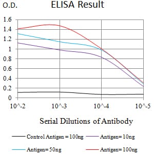Mouse Monoclonal Antibody to LRP4
