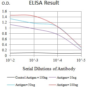 Mouse Monoclonal Antibody to LRP4
