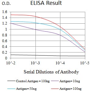 Mouse Monoclonal Antibody to NFKB2