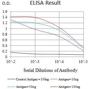 Mouse Monoclonal Antibody to SATB2