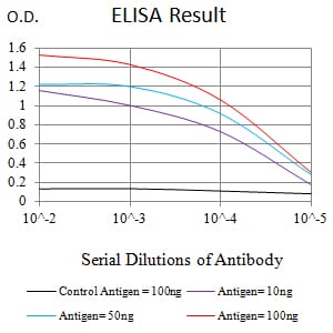 Mouse Monoclonal Antibody to CD307E