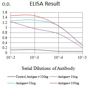 Mouse Monoclonal Antibody to PCK2