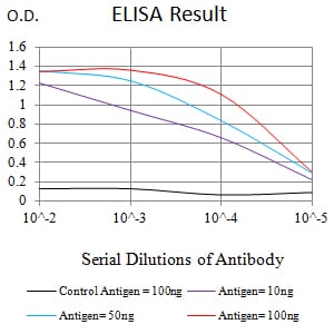 Mouse Monoclonal Antibody to SATB2