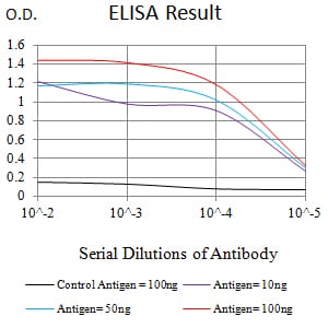 Mouse Monoclonal Antibody to EZH1