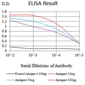 Mouse Monoclonal Antibody to IDH2