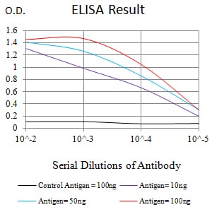 Mouse Monoclonal Antibody to CD181