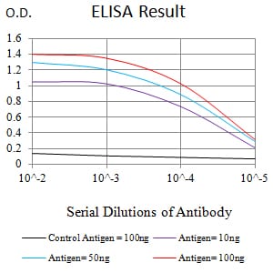 Mouse Monoclonal Antibody to CAPN1