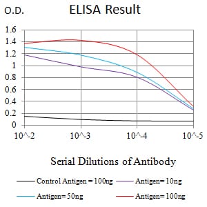 Mouse Monoclonal Antibody to CHD4
