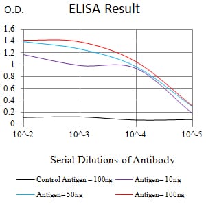 Mouse Monoclonal Antibody to RBBP7