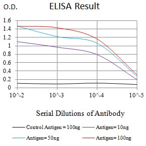 Mouse Monoclonal Antibody to SMYD2