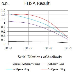 Mouse Monoclonal Antibody to PCK2