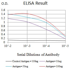Mouse Monoclonal Antibody to SIRT2