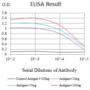 Mouse Monoclonal Antibody to IDH2