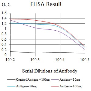 Mouse Monoclonal Antibody to MAP1LC3A