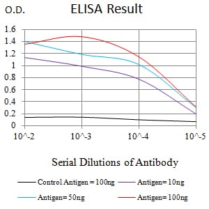 Mouse Monoclonal Antibody to CD307A