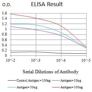 Mouse Monoclonal Antibody to BNIP3L