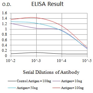 Mouse Monoclonal Antibody to WDFY3