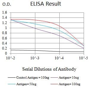 Mouse Monoclonal Antibody to WDFY3