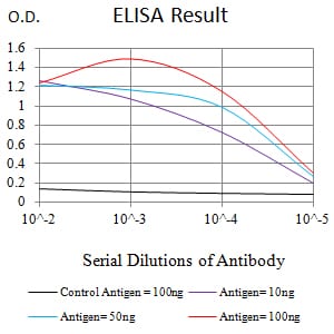 Mouse Monoclonal Antibody to ATG10