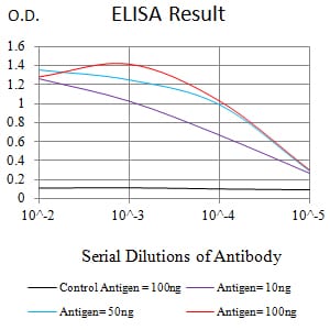 Mouse Monoclonal Antibody to MCM3AP
