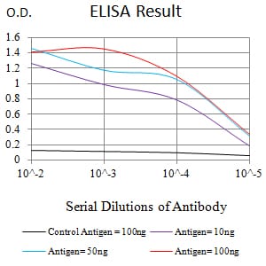 Mouse Monoclonal Antibody to CD300A