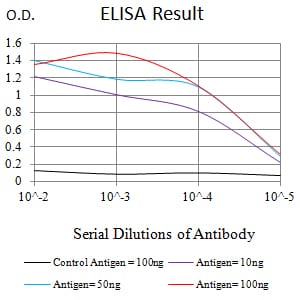 Mouse Monoclonal Antibody to DFFB
