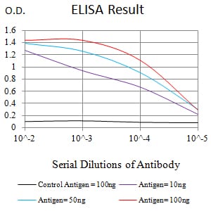 Mouse Monoclonal Antibody to CALD1