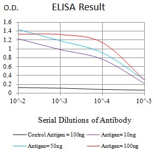 Mouse Monoclonal Antibody to COL3A1