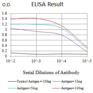 Mouse Monoclonal Antibody to PMS2