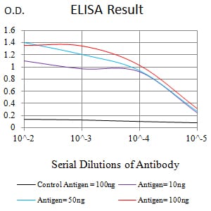 Mouse Monoclonal Antibody to CD8a