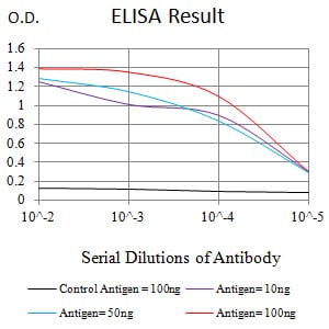 Mouse Monoclonal Antibody to CD163
