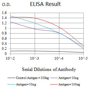 Mouse Monoclonal Antibody to CD163