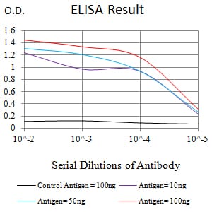 Mouse Monoclonal Antibody to MLH1