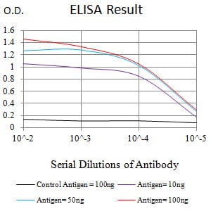 Mouse Monoclonal Antibody to ASGR2