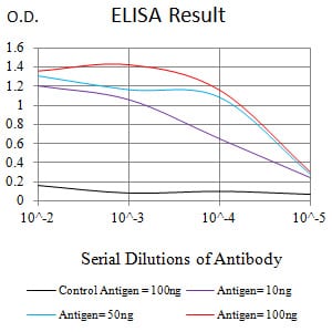 Mouse Monoclonal Antibody to SDHB