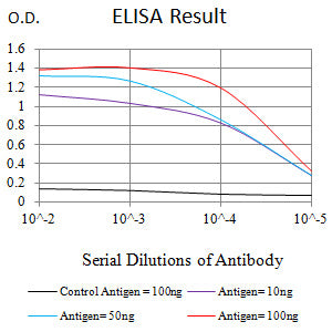 Mouse Monoclonal Antibody to TOP2A