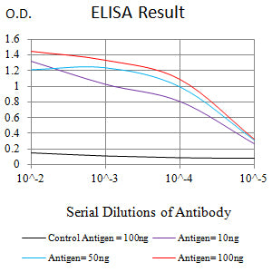 Mouse Monoclonal Antibody to ACTA2